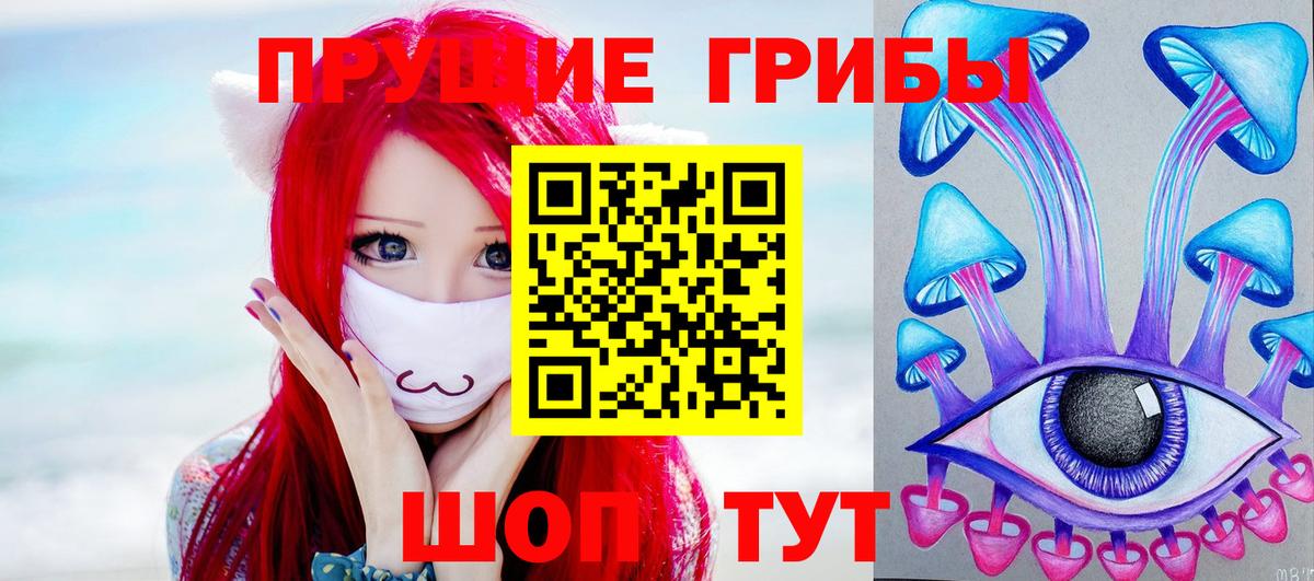 Галлюциногенные грибы Cubensis Похвистнево